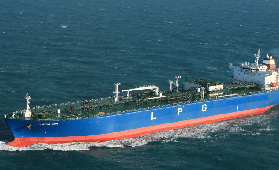 LPG ve LNG hortumları